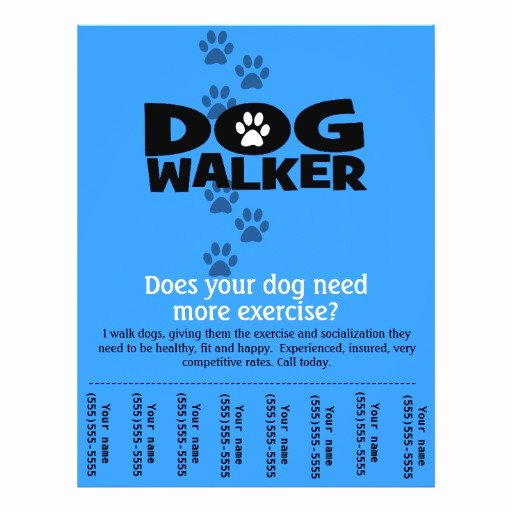 Dog Walking Flyer Ideas Awesome Dog Walker Promotional Tear Sheet Flyer Template B