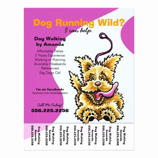 Dog Walking Flyer Ideas Awesome Dog Walker Walking Leashed Terrier Tear Sheet Flyer