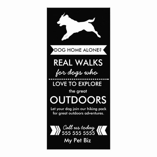 Dog Walking Flyer Ideas Best Of Dog Walker Flyer