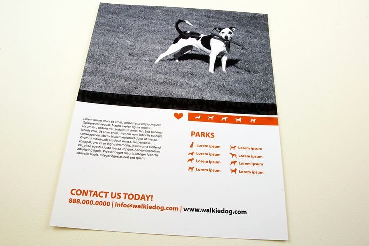 Dog Walking Flyer Ideas Elegant Dog Walking Service Flyer Template