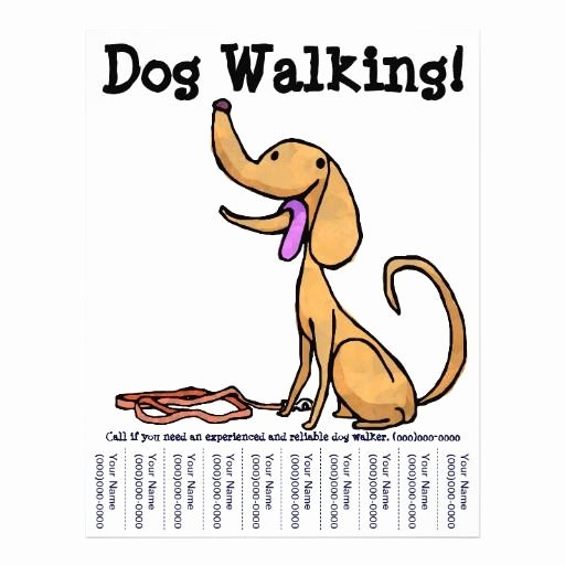 Dog Walking Flyer Ideas New Dog Walking Flyers Google Search