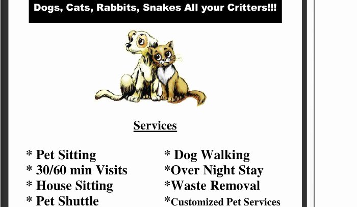 Dog Walking Flyer Ideas New Pet Sitting Flyer