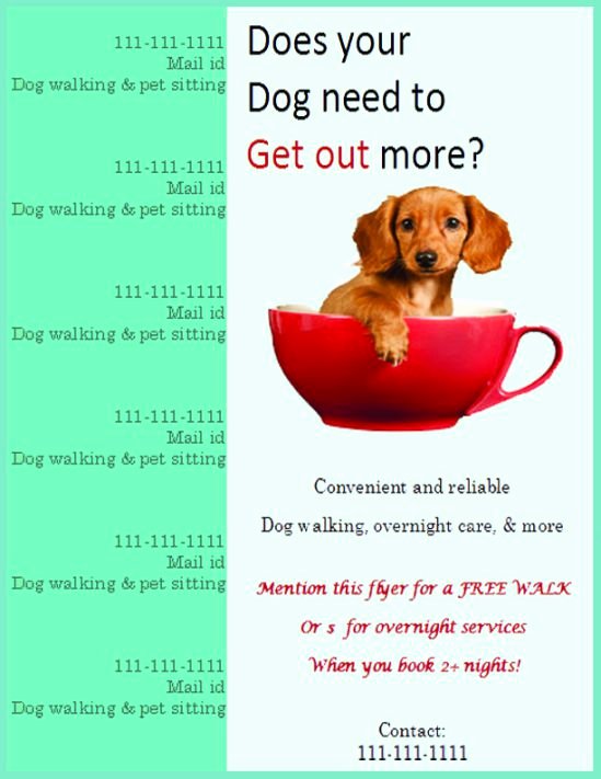 Dog Walking Flyer Ideas Unique 25 Dog Walking Flyers for Small Dog Sitting Businesses