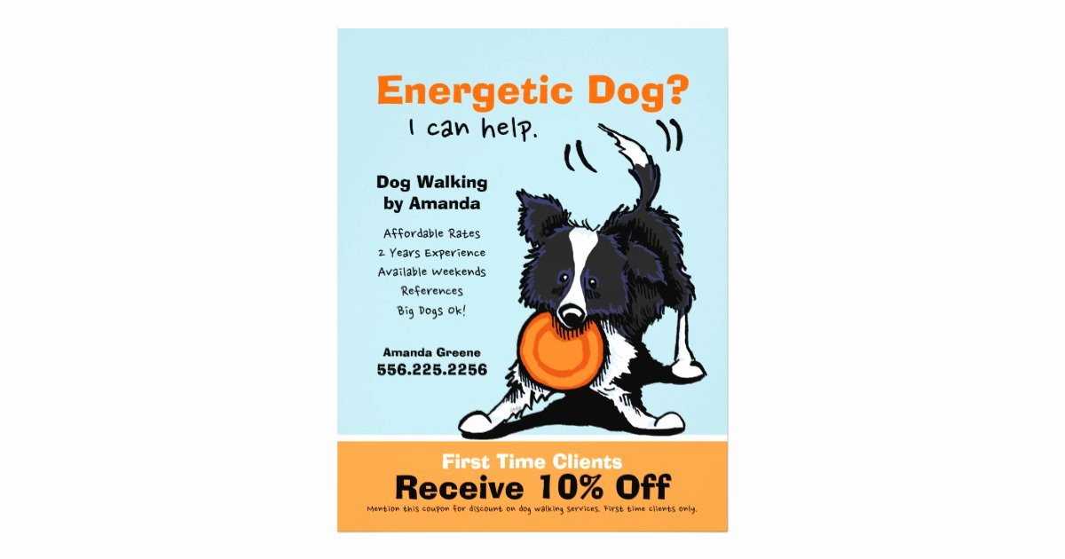 Dog Walking Flyer Ideas Unique Dog Walker Walking Ad Coupon Border Collie Flyer