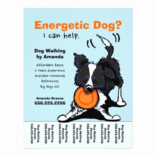 Dog Walking Flyer Template Inspirational Dog Walker Walking Personalized Tear Sheet