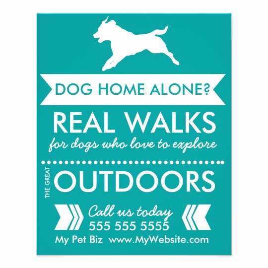 Dog Walking Flyer Template Unique Dog Walker Flyer Personalizable