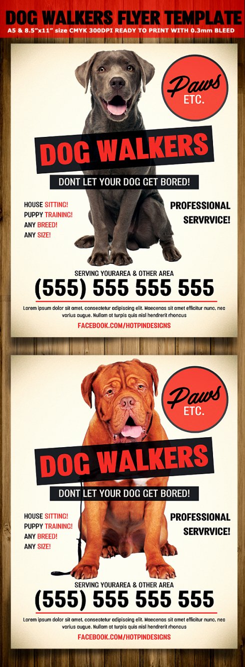 Dog Walking Flyer Template Unique Modern