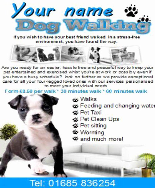 Dog Walking Template Beautiful Dog Walking Business Templates Download Business