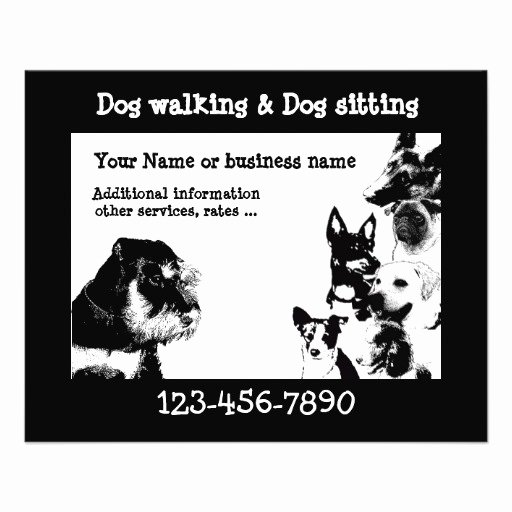 Dog Walking Template New Dogwalker 3 Flyer