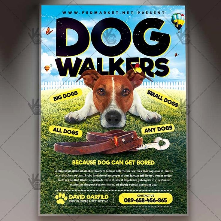 Dog Walking Template Unique Best 25 Dog Walker Flyer Ideas On Pinterest