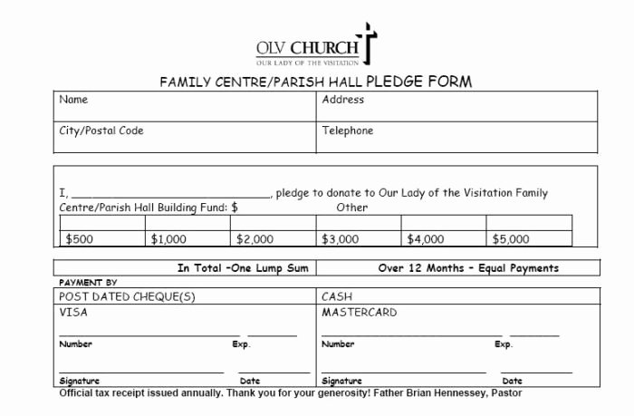 Donor Pledge Card Template Fresh Church Pledge form Sample Templates Resume Examples