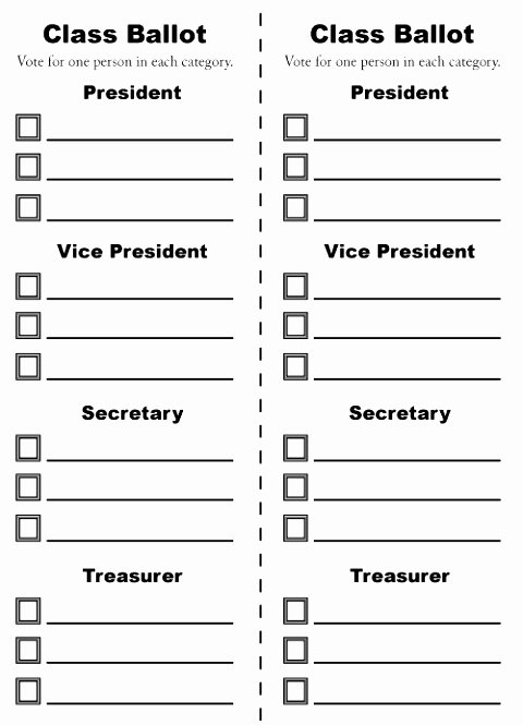 Drawing Entry form Template Word Beautiful 6 Printable Voting Ballot Template Yyatt