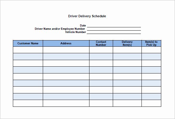 Driver Trip Sheet Template Luxury 13 Delivery Schedule Templates Doc Pdf Excel