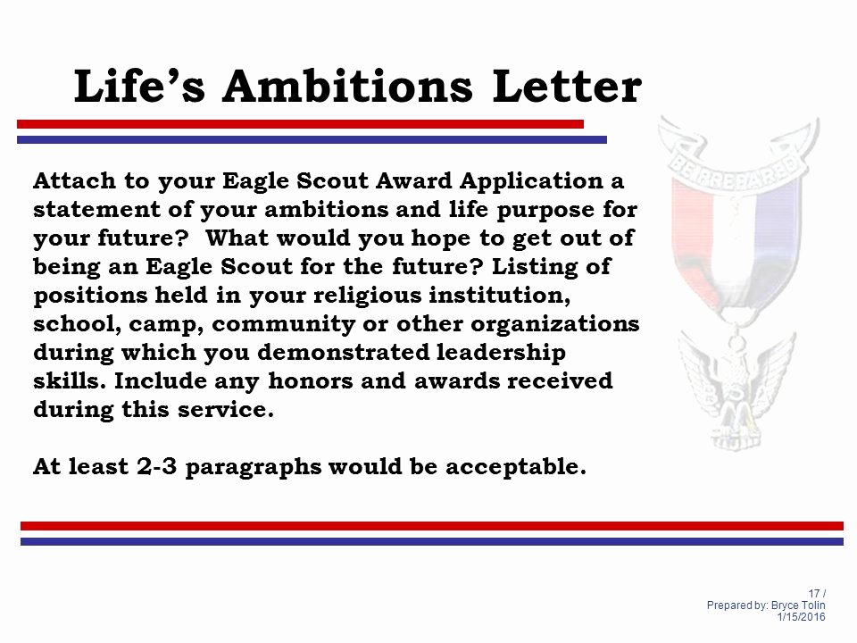 eagle scout essay requirements