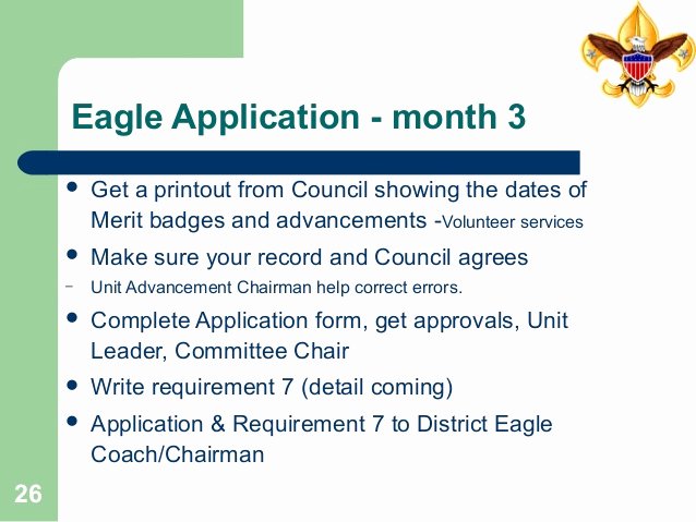 Eagle Scout Ambition Statement Example Lovely Life toeagletraining35pages2014