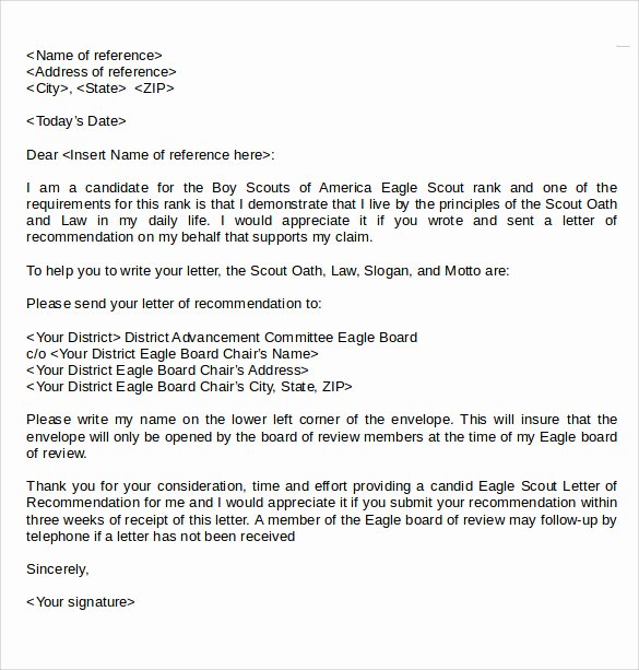 Eagle Scout Ambition Statement Example Luxury Eagle Scout Letter Of Re Mendation 9 Download