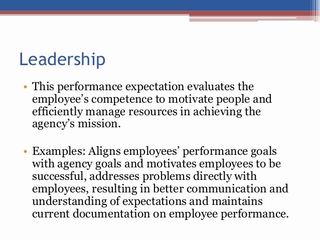 Employee Expectations Template Inspirational Idaho State Employee Expectations and Rating Levels