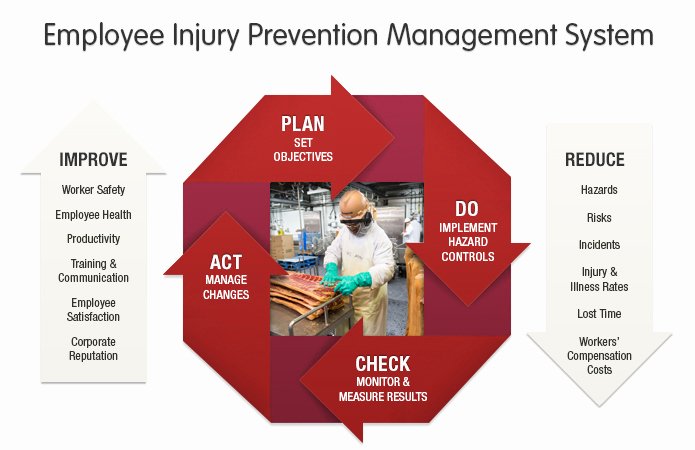 Employee Injury Report Beautiful 2014 Sustainability &amp; Financial Report