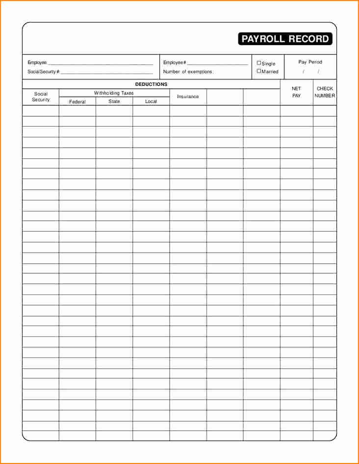 Employee Payroll Ledger Template Awesome 7 Employee Payroll Record Template