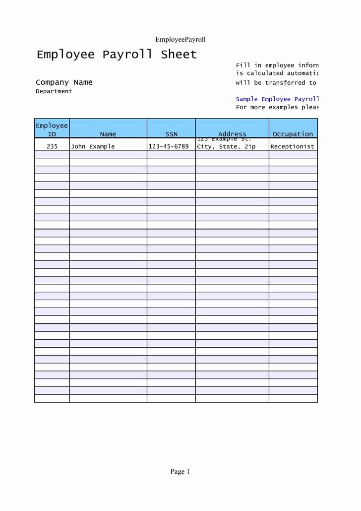 Employee Payroll Ledger Template Inspirational 30 Payroll Templates Free Download