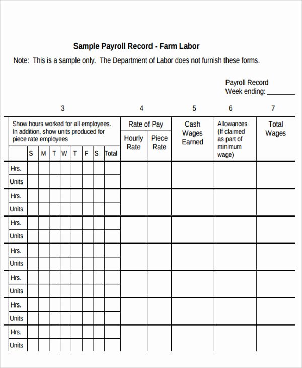 Employee Payroll Ledger Template New Employee Payroll Templates