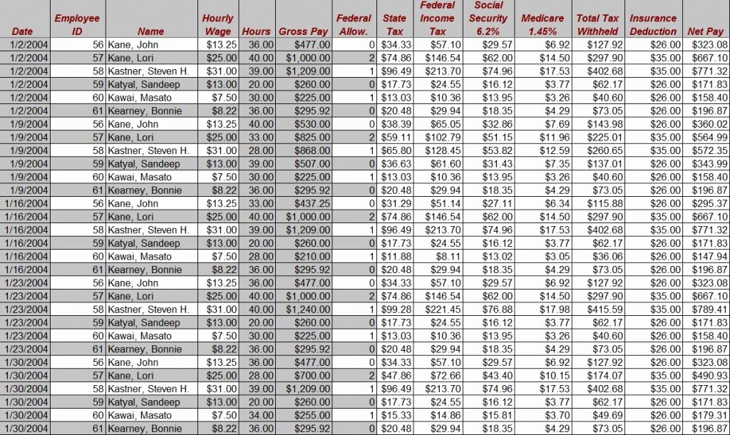 Employee Payroll Ledger Template New Payroll Register