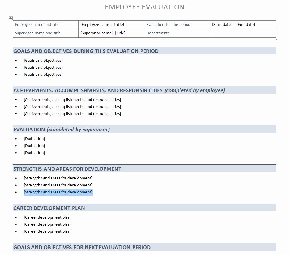 Employee Performance Evaluation form Excel Beautiful Performance Evaluation Template