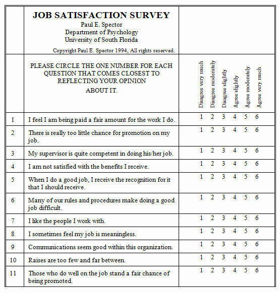 Employee Satisfaction Survey Questionnaire Doc Awesome 21 Free Satisfaction Survey Template Word Excel formats