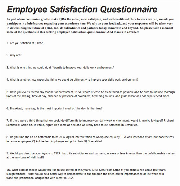 Employee Satisfaction Survey Questionnaire Doc Awesome Employee Satisfaction Survey 9 Download Free Documents