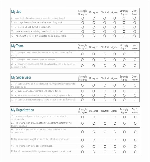 Employee Satisfaction Survey Questionnaire Doc Beautiful Survey Template Doc – Peero Idea