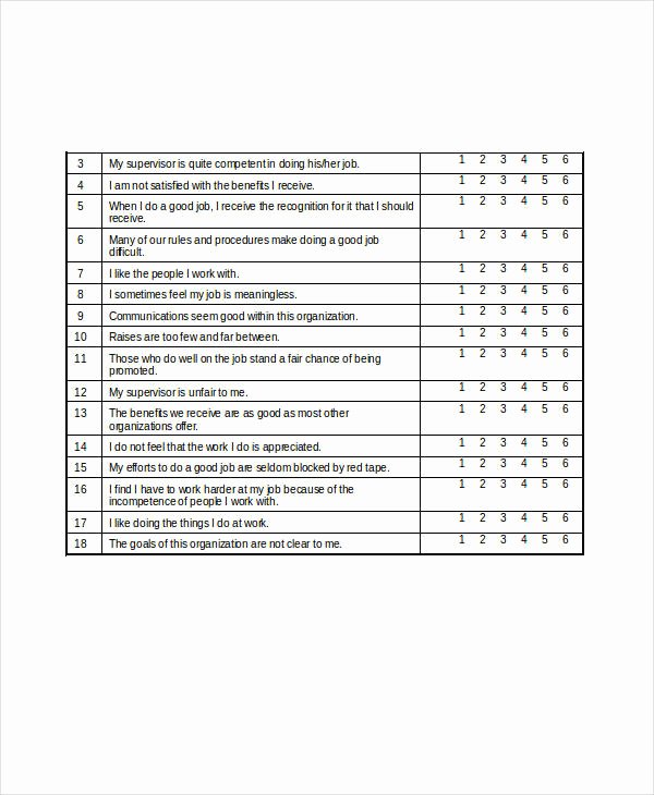 Employee Satisfaction Survey Questionnaire Doc New 31 Survey Questionnaire Examples Pdf Word