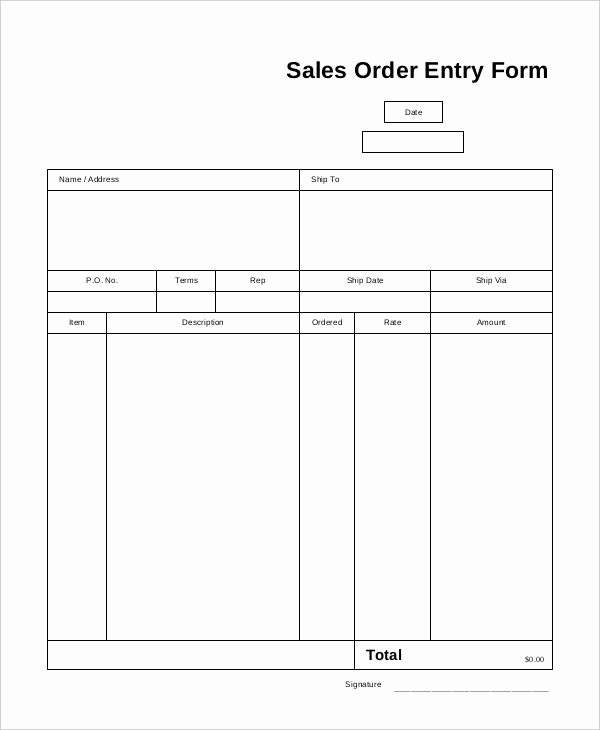 Entry form Template Free Unique 13 Sales order forms Free Samples Examples format