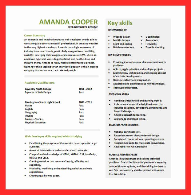 Entry Level Web Developer Resume Examples Beautiful Web Developer Resume