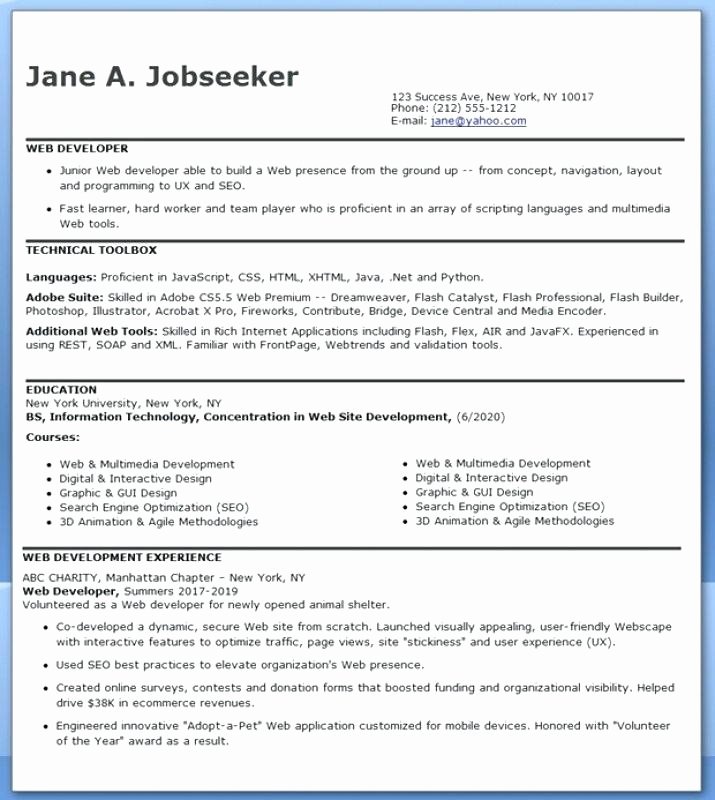 Entry Level Web Developer Resume Examples Best Of Entry Level Sql Developer Resume Sample