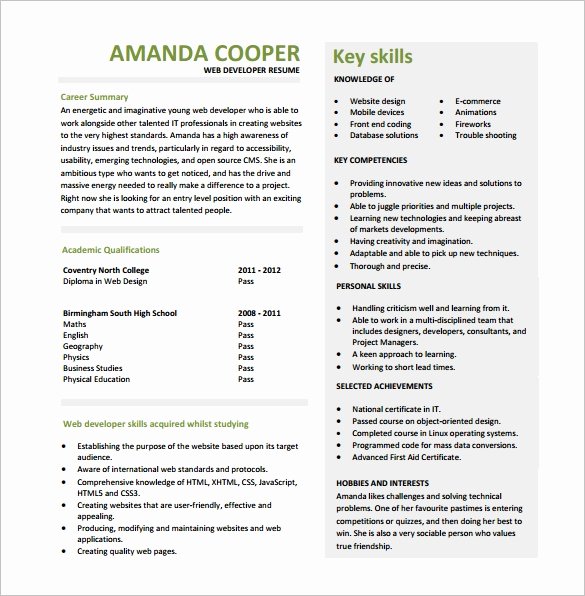 Entry Level Web Developer Resume Examples Elegant 11 Web Developer Resume Templates Doc Pdf