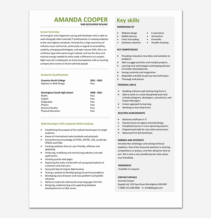 Entry Level Web Developer Resume Examples Unique Web Developer Resume Template 15 Sample Resumes Word