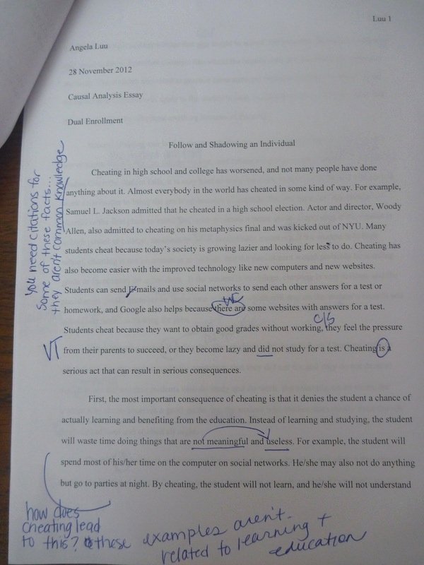 Essay About Cheating In School Unique Cause and Effect Essay