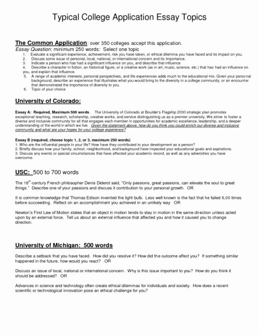 Essays for Scholarship Applications Examples Lovely Scholarship Application Essay Examples Custom Writing at