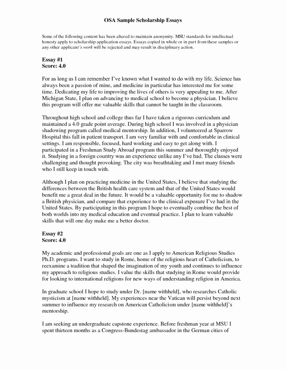 Essays for Scholarship Applications Examples Luxury Application Essay Personal Statement Pinterest