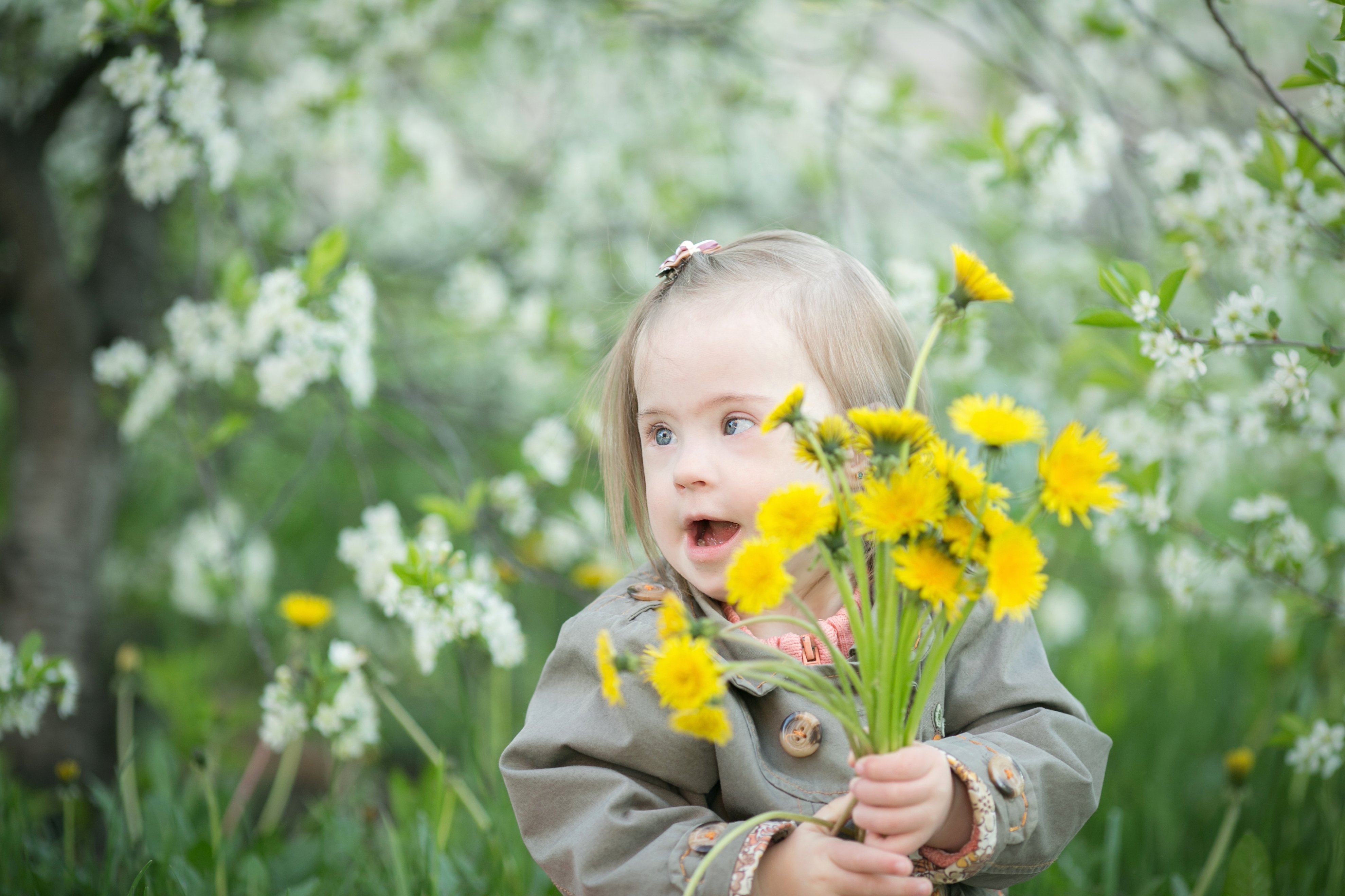 Essays On Down Syndrome Awesome In Iceland Of Babies Diagnosed with Down Syndrome are