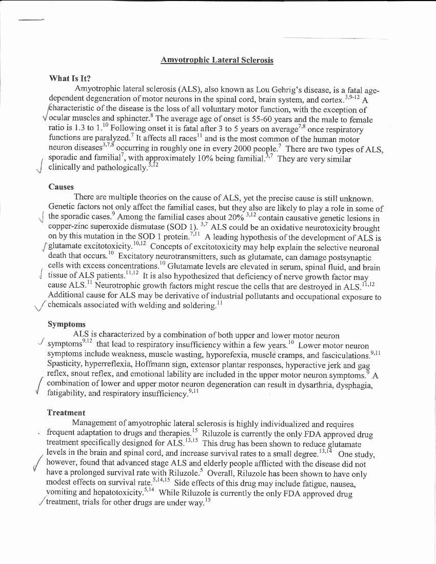 Example Of Interview Essay Paper Elegant Best S Of Interview Research Paper Sample Sample