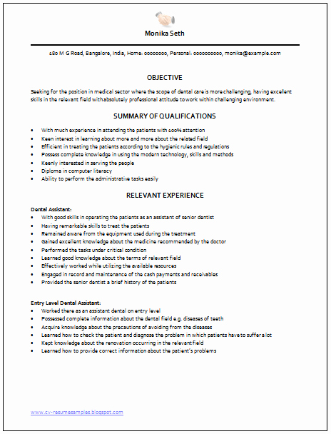 Examples Of Excellent Resumes Awesome Professional Curriculum Vitae Resume Template Sample