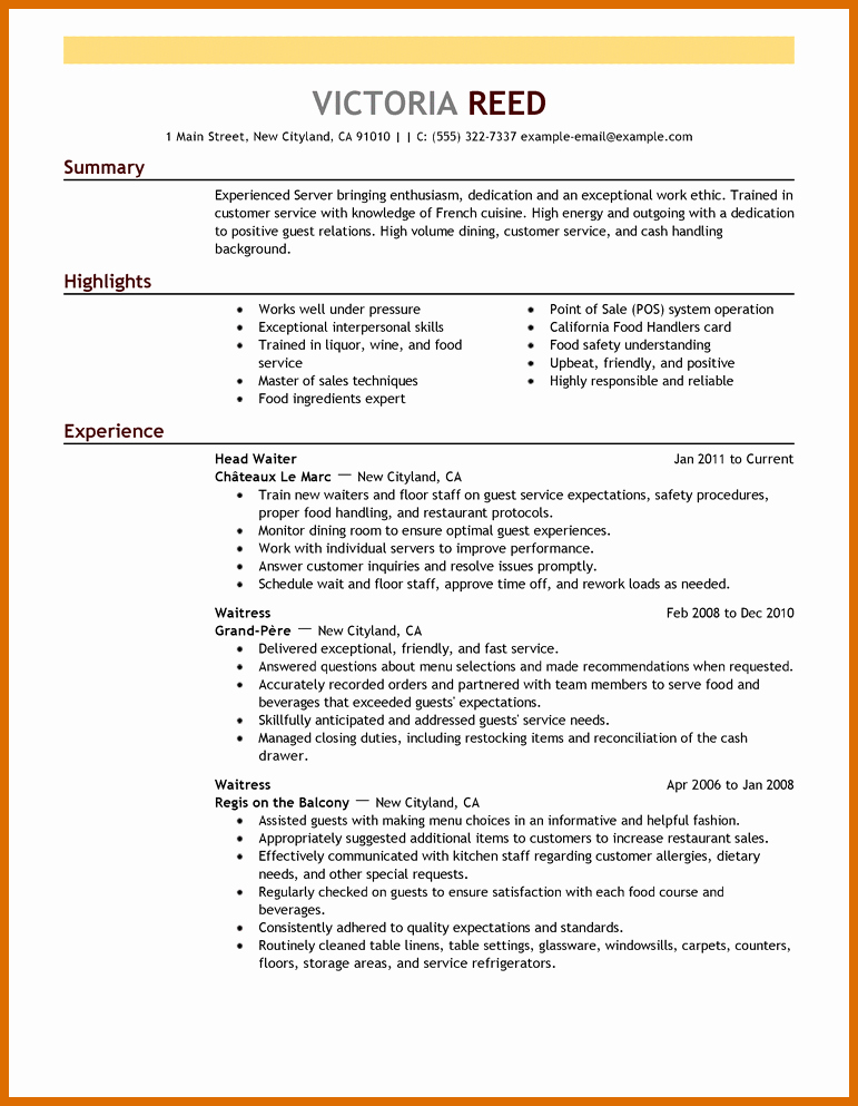 Examples Of Excellent Resumes Best Of 6 7 Excellent Resume Examples