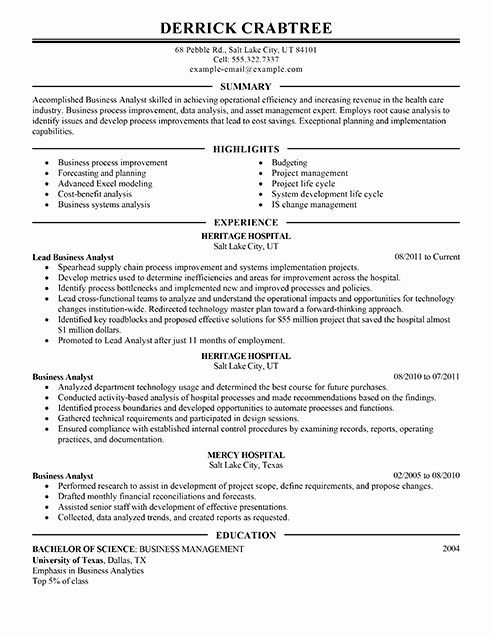 Examples Of Excellent Resumes Best Of Amazing Business Resume Examples to Get You Hired