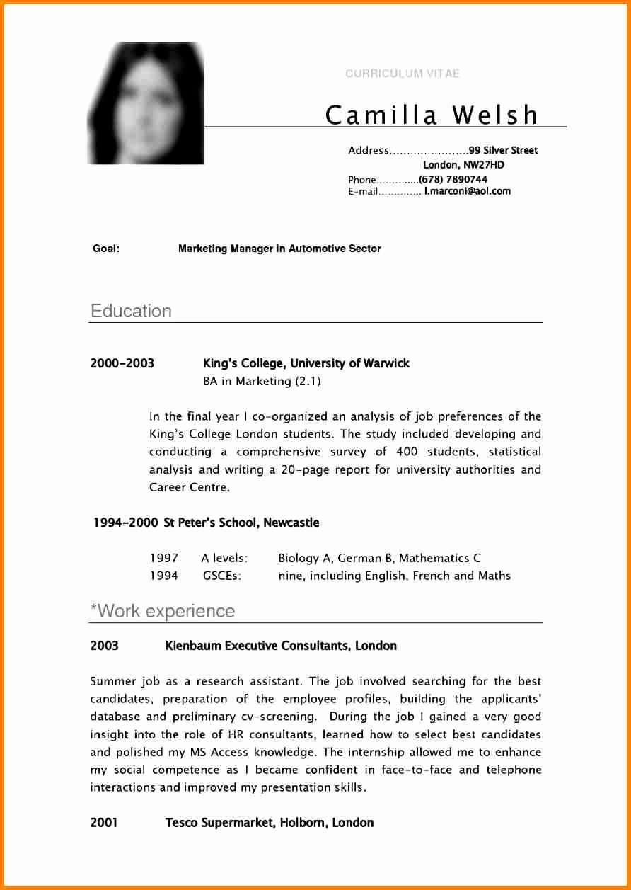 Examples Of Excellent Resumes Elegant 8 English Cv Sample