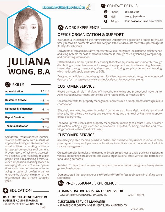 Examples Of Excellent Resumes Lovely Excellent Resume Sample