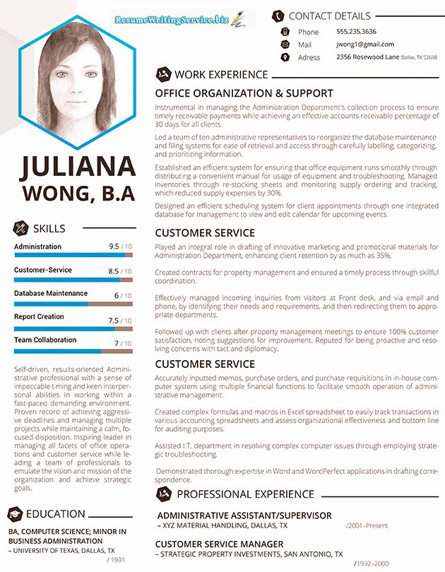 Examples Of Excellent Resumes Lovely Excellent Resume Sample