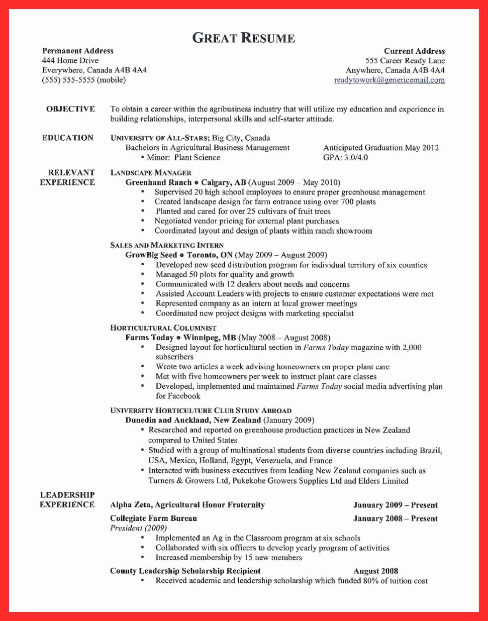 Examples Of Excellent Resumes Luxury Example Great Resume