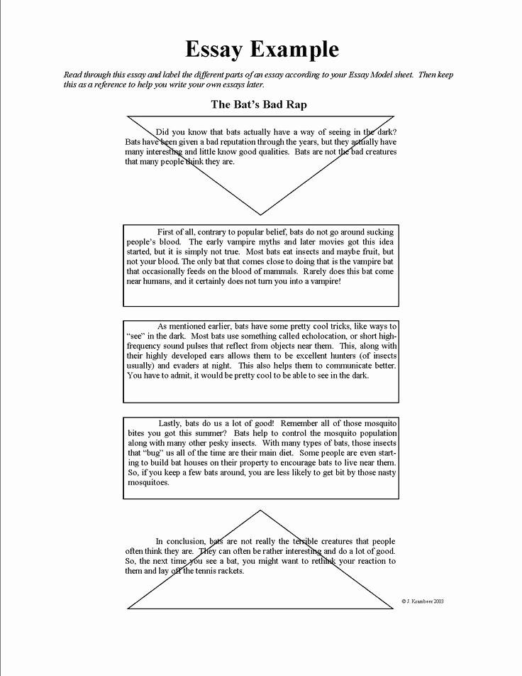 Examples Of Good Essays Luxury School is Cool Essay Example Ell Pinterest