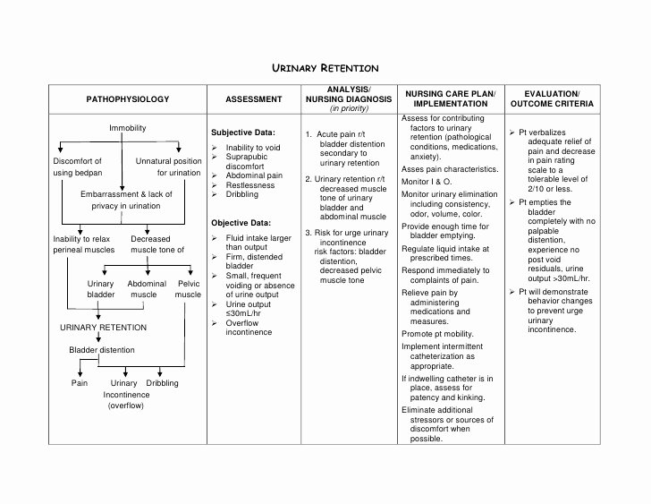 Examples Of Nursing Care Plans for Constipation Luxury Urinary Retention